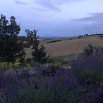 Poggio Delle Lavande Apartamento Montelupone