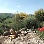 Apartamento Poggio Delle Lavande Montelupone
