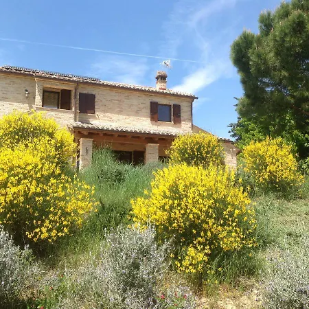 Poggio Delle Lavande Apartment
