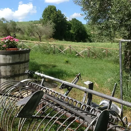Poggio Delle Lavande Montelupone