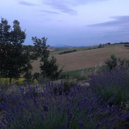 Poggio Delle Lavande דירה Montelupone