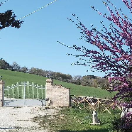 Poggio Delle Lavande * Montelupone