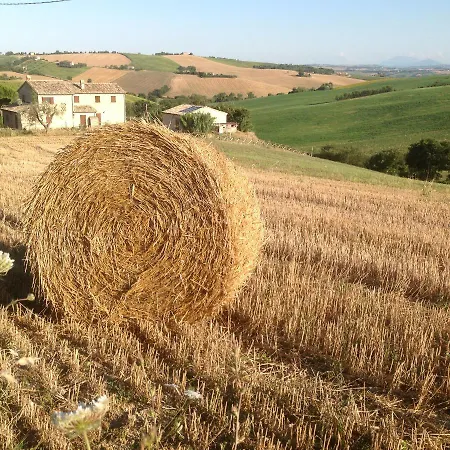 Poggio Delle Lavande דירה Montelupone