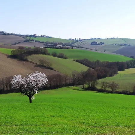 Apartment Poggio Delle Lavande Montelupone