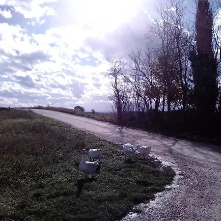 Poggio Delle Lavande דירה