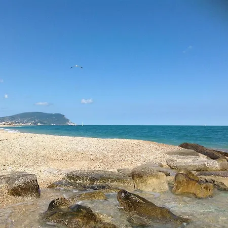 Poggio Delle Lavande