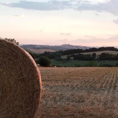 Poggio Delle Lavande *