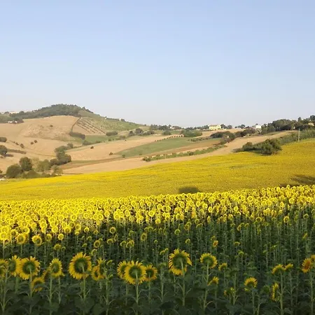 Apartamento Poggio Delle Lavande *