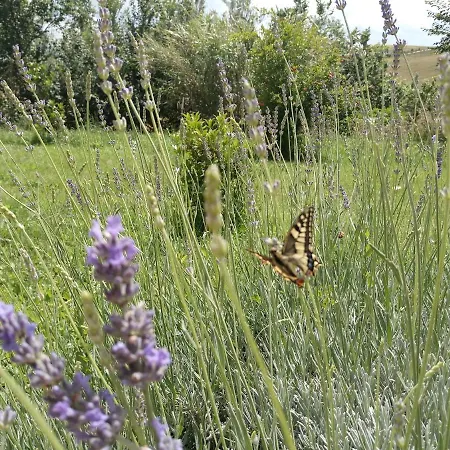 Poggio Delle Lavande דירה Montelupone
