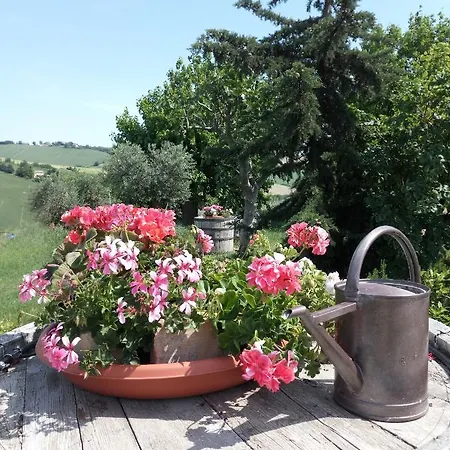 Apartamento Poggio Delle Lavande
