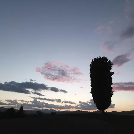 Poggio Delle Lavande