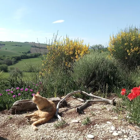 דירה Poggio Delle Lavande Montelupone