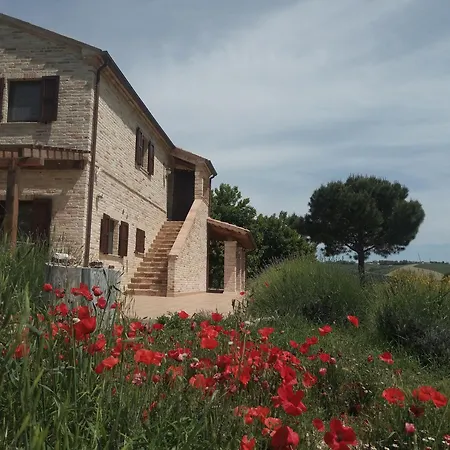 Poggio Delle Lavande Apartment Montelupone