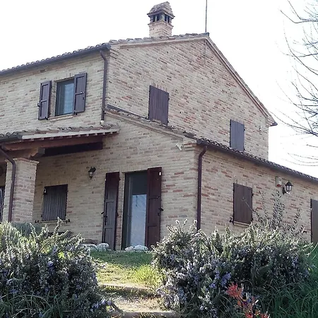 Poggio Delle Lavande