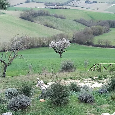 Poggio Delle Lavande * Montelupone