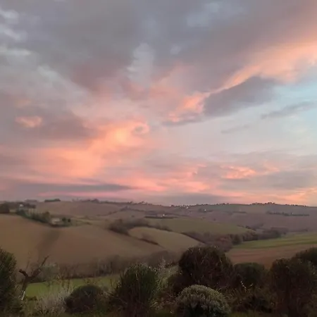 Poggio Delle Lavande * Montelupone