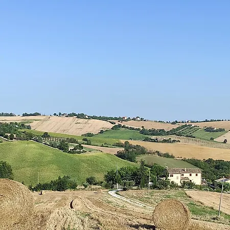 Poggio Delle Lavande Montelupone