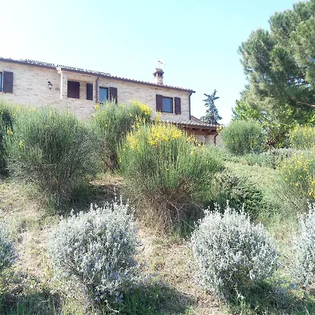 Poggio Delle Lavande Apartment *