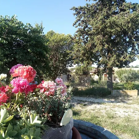Poggio Delle Lavande Montelupone
