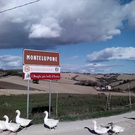 Poggio Delle Lavande Montelupone