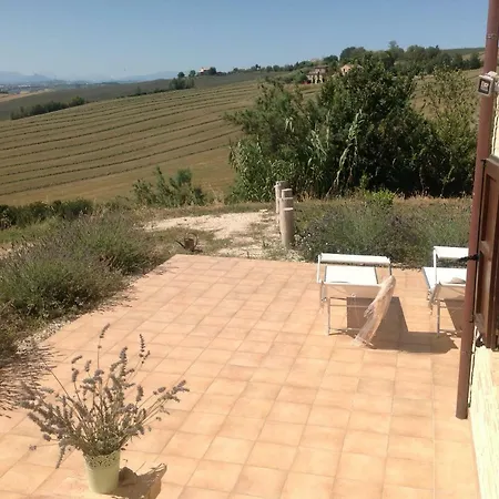 Poggio Delle Lavande Montelupone