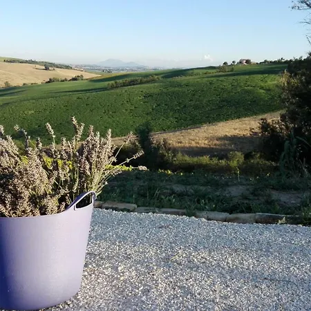 דירה Poggio Delle Lavande Montelupone