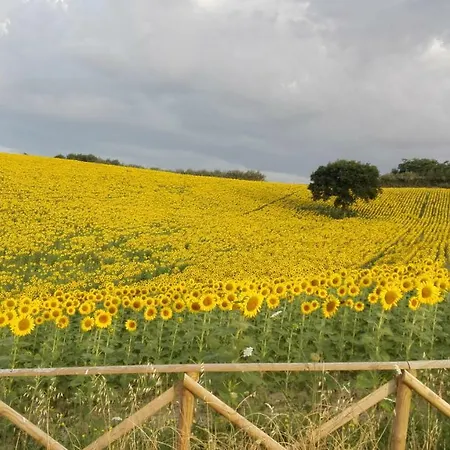 דירה Poggio Delle Lavande Montelupone