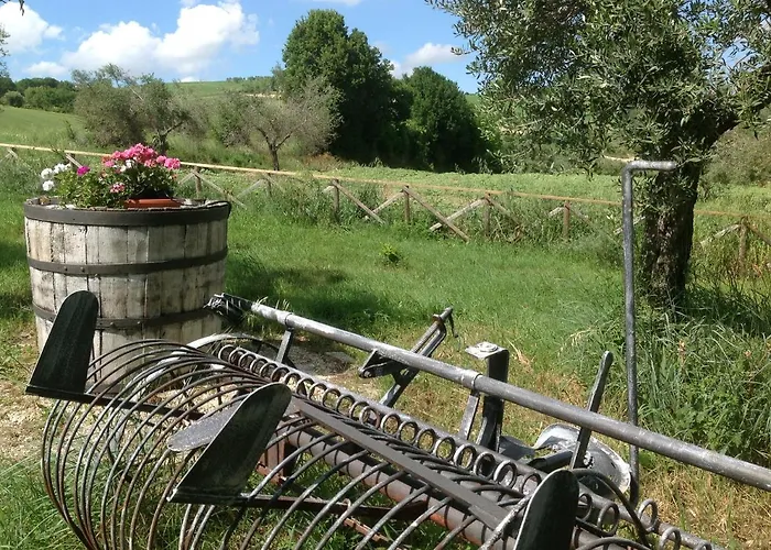 Poggio Delle Lavande Montelupone