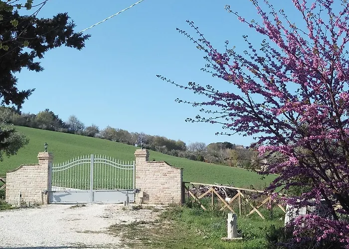 Poggio Delle Lavande * Montelupone