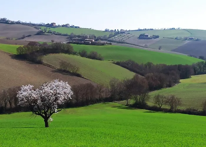 Appartamento Poggio Delle Lavande Montelupone
