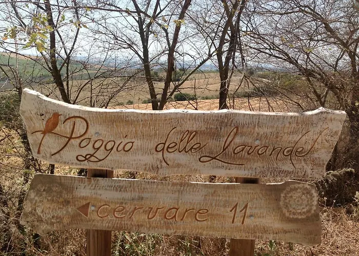 Poggio Delle Lavande Appartamento