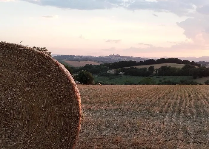 Poggio Delle Lavande *