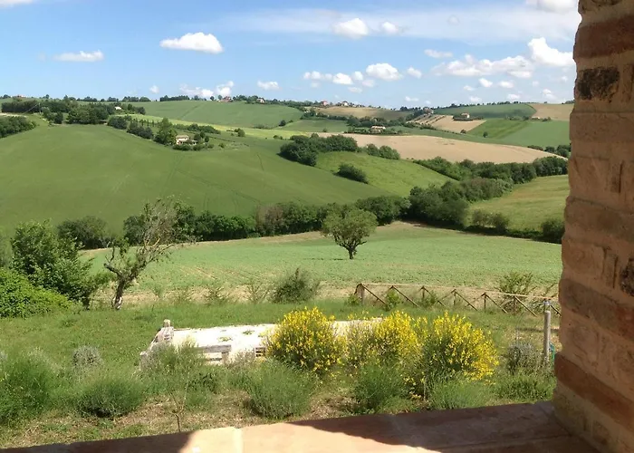 Poggio Delle Lavande