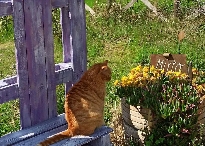 Poggio Delle Lavande Appartamento *