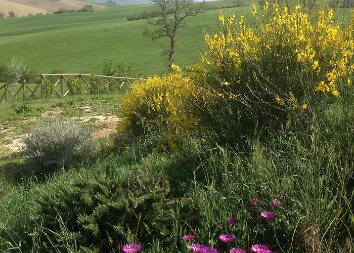 Poggio Delle Lavande *