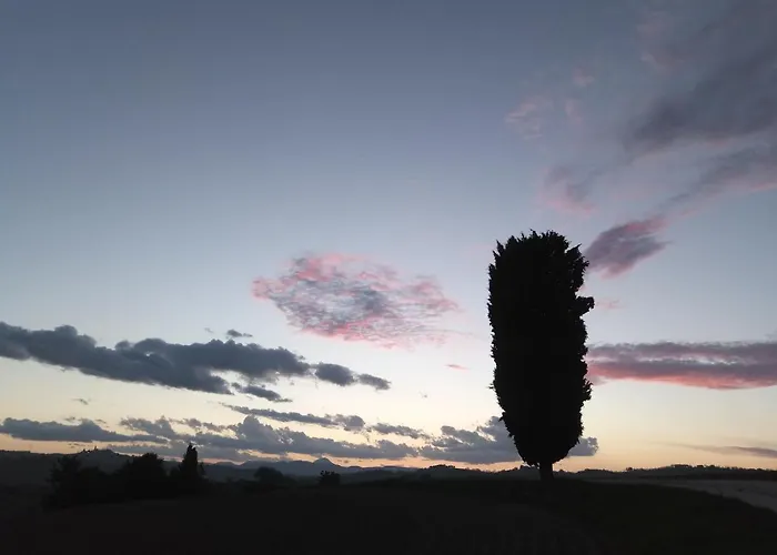 Poggio Delle Lavande