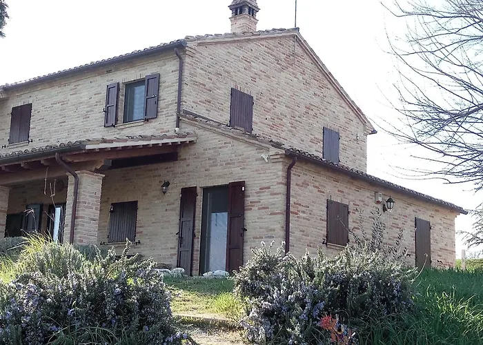 Poggio Delle Lavande