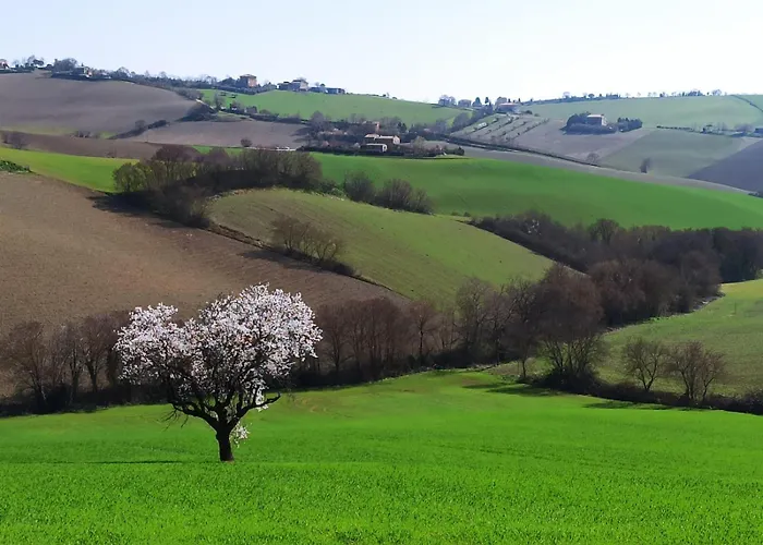 Appartamento Poggio Delle Lavande