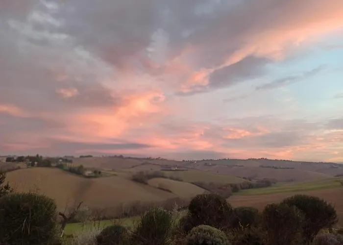 Poggio Delle Lavande * Montelupone