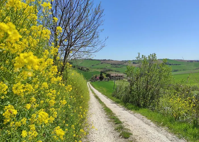 Appartamento Poggio Delle Lavande