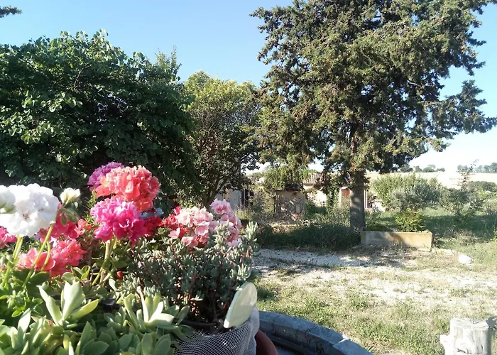 Poggio Delle Lavande Montelupone