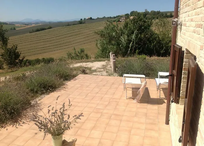 Poggio Delle Lavande Montelupone