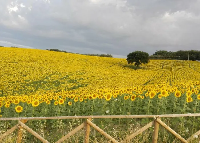 Appartamento Poggio Delle Lavande Montelupone